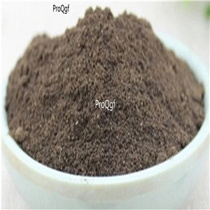 19usd Prodgf 300Gram A Set  Radix Scrophulariae Ningpoensis rare powder