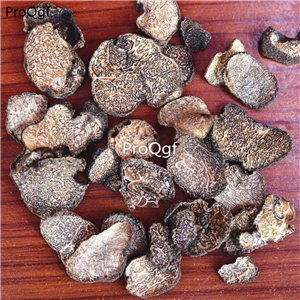 39usd Prodgf 200Gram A Set  Dried Truffle Mushroom
