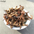 19usd Prodgf 500Gram A Set  Raisin Hovenia dulcis