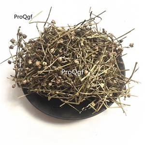 19usd Prodgf 500Gram A Set  Hedyotis diffusa