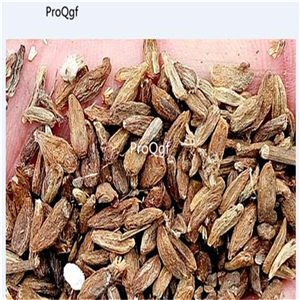19usd Prodgf 6000Pcs A Set Atractylodis Rhizoma baishu seed