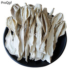 19usd Prodgf 500Gram A Set Coprinus Comatus
