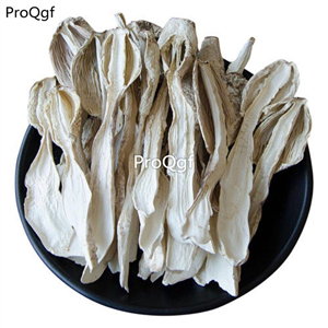 19usd Prodgf 500Gram A Set Coprinus Comatus