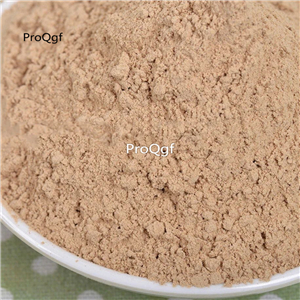 19usd Prodgf 250Gram A Set Coprinus Comatus xianggu powder