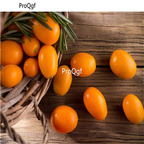 19usd Prodgf 3000Pcs A Set Sweet Kumquat seed