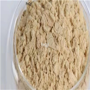 19usd Prodgf 300Gram A Set Alisma Orientalis rare powder