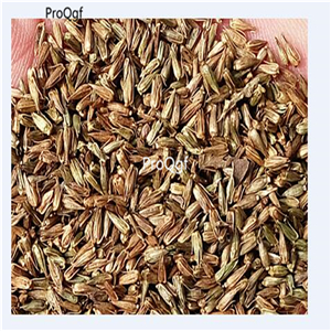 19usd Prodgf 8000Pcs A Set Cyathulae Radix seed