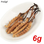 19usd Prodgf 6Gram A Set Wild Himalayan Cordyceps Sinensis