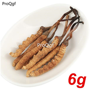 19usd Prodgf 6Gram A Set Wild Himalayan Cordyceps Sinensis