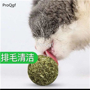 19usd Prodgf 20Pcs A Set Nepeta Cataria cat ball