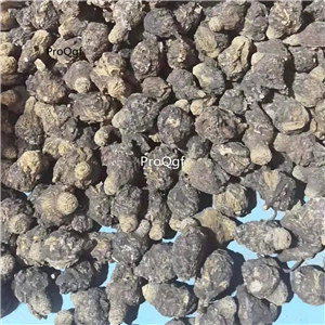 19usd Prodgf 500Gram A Set Wild Organic Black Maca