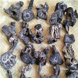 39usd Prodgf 200Gram A Set Tiger Palm Mushroom