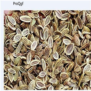 19usd Prodgf 8000Pcs A Set Premium Radix Saposhnikoviae seed