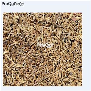 19usd Prodgf 30000Pcs A Set  yellow Taraxaci  seed