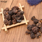 19usd Prodgf 500Gram A Set Fructus Phyllanthi