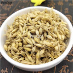 19usd Prodgf 30000Pcs A Set Barley Sprout seed