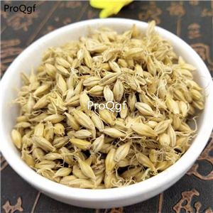 19usd Prodgf 30000Pcs A Set Barley Sprout seed