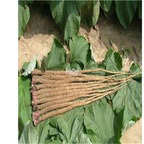 19usd Prodgf 5000Pcs A Set Gold Burdock seed