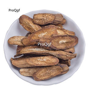 19usd Prodgf 500Gram A Set Gold Burdock