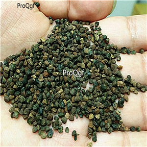 19usd Prodgf 3000Pcs A Set Gynostemma Pentaphyllum seed