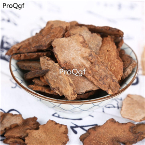 19usd Prodgf 500Gram A Set Songaria Cynomorium