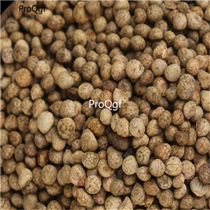 19usd Prodgf 30000Pcs A Set Perilla Frutescens seed