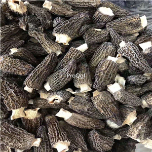 39usd Prodgf 200Gram A Set Wild Morel Mushrooms