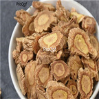 19usd Prodgf 500Gram A Set Divaricate Saposhnikovia