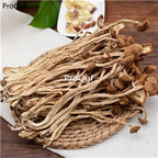 19usd Prodgf 300Gram A Set Trunk Mushroom tea tree chashugu