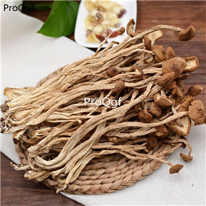 19usd Prodgf 300Gram A Set Trunk Mushroom tea tree chashugu