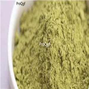 19usd Prodgf 300Gram A Set Bamboo Leaf Flavonoids zhuye powder