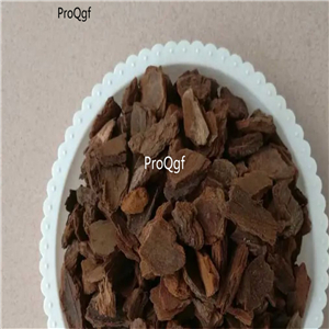 19usd Prodgf 500Gram A Set  Pine Bark