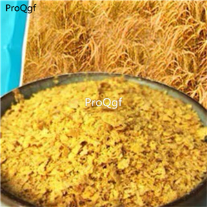 29usd Prodgf 1 Set  nutritional yeast b12