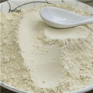 19usd Prodgf 300Gram A Set Ginkgo rare powder