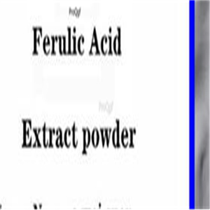 19usd Prodgf 200Gram A Set Ferulic Acid  powder