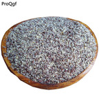 19usd Prodgf 300Gram A Set Perilla powder