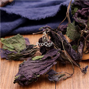19usd Prodgf 500Gram A Set Perilla dry leaf
