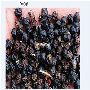 19usd Prodgf 6000Pcs A Set Rhizoma Belamcandae seed