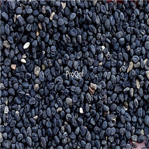 19usd Prodgf 6000Pcs A Set Baical Skullcap seed