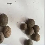 19usd Prodgf 5Pcs A Set Polygonum Multiflorum bulb