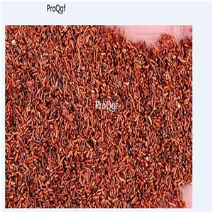 19usd ngryise 500pcs Damiana seed