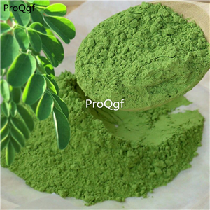 19usd Prodgf 300Gram A Set Moringa Oleifera Leaf  powder