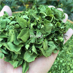 19usd Prodgf 400Gram A Set Moringa Oleifera Leaf