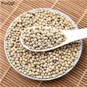 19usd Prodgf 500Gram A Set white pepper Piper Nigrum