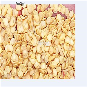 19usd Prodgf 6000Pcs A Set guizhou lantern pepper seed