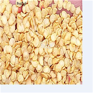 19usd Prodgf 6000Pcs A Set mini pepper mijiao seed