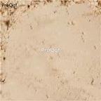 19usd Prodgf 300Gram A Set Cissus quadrangularis leigongteng powder