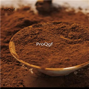 19usd Prodgf 250Gram A Set Phellinus Linteus powder