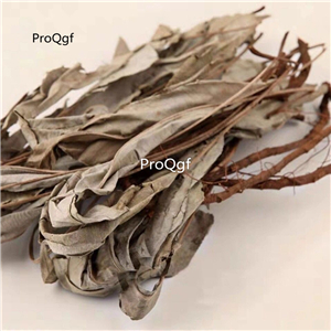 19usd Prodgf 500Gram A Set Kacip Fatimah powder