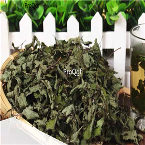 19usd Prodgf 500Gram A Set Rabdosia Rubescens